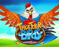 Power Zones: Thunder Birds